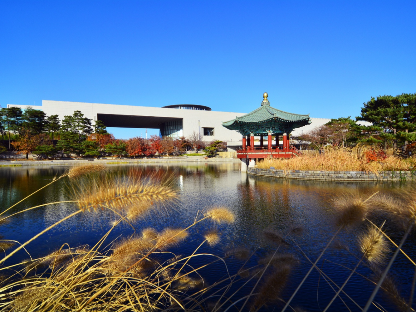 【海评面】韩国文旅界人士：期待与中方开展广泛交流