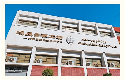 在开罗，聆听中埃合作共赢的故事