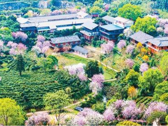 春日消费“花开”多地
