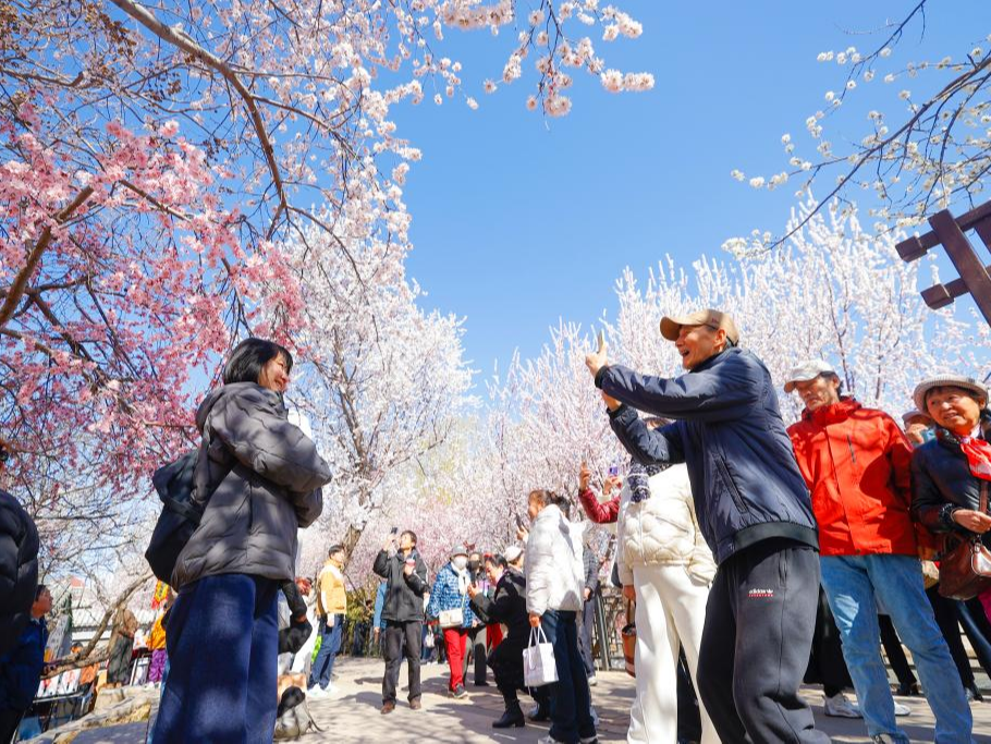 从“赏”到“玩”，春日消费何以“繁花”朵朵？