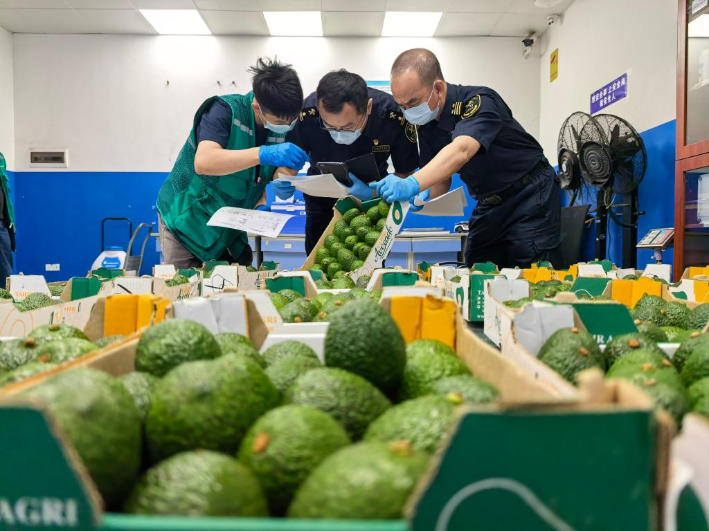财经聚焦｜零关税助力非洲好物拥抱中国大市场