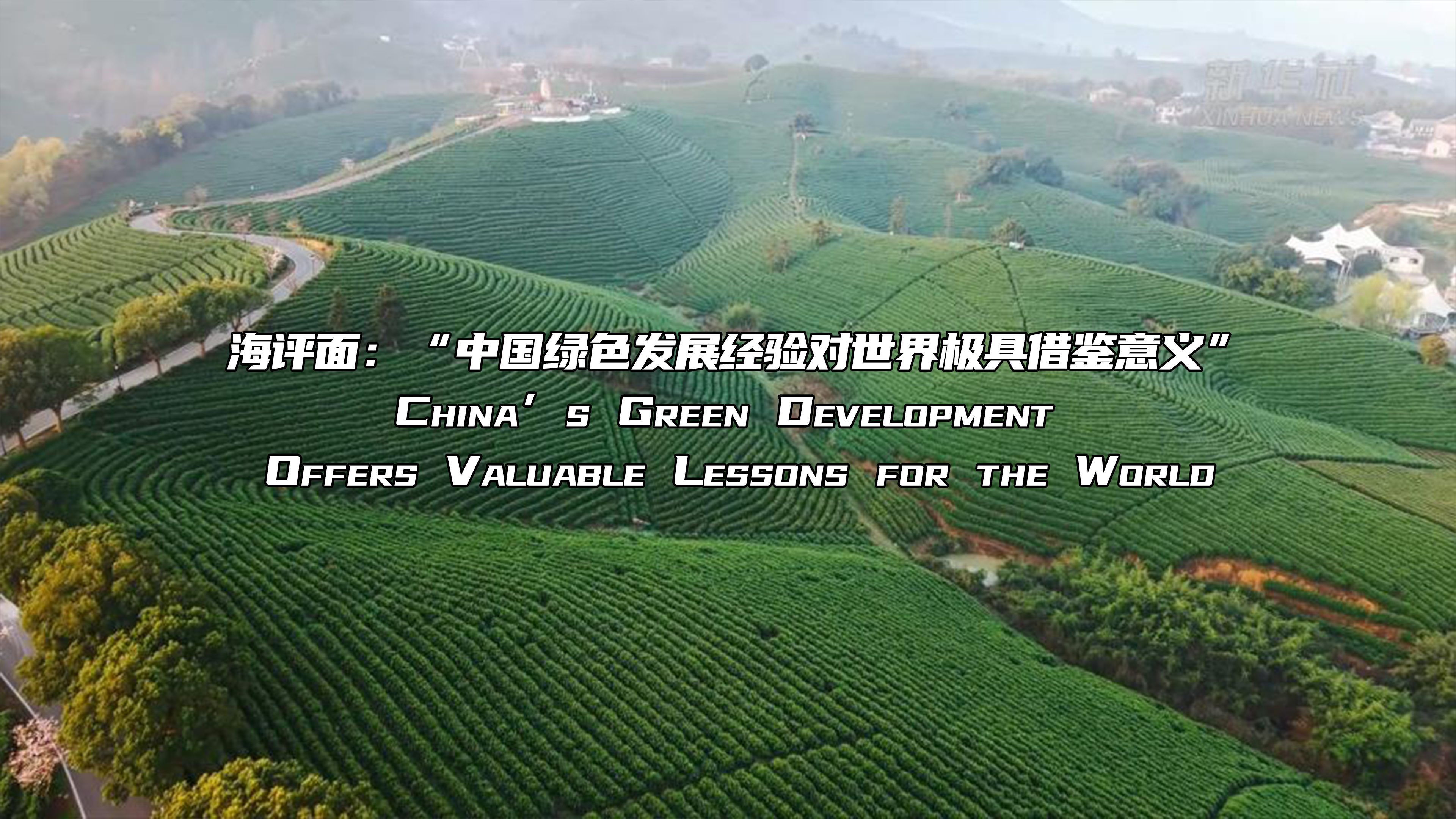 海评面：“中国绿色发展经验对世界极具借鉴意义”