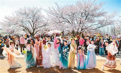 “一朵花”带动文旅消费升级