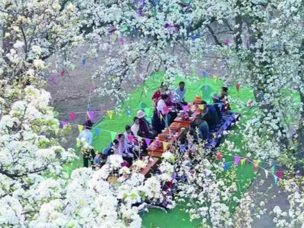 外媒说丨中国乡村旅游蓬勃发展，展现独特魅力