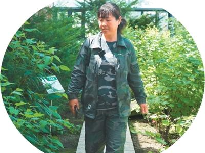 33年，只为育苗一件事（奋斗者之歌）