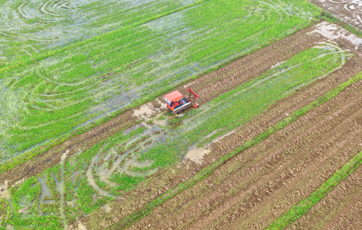沃野染新绿 春耕绘丰景——从春耕一线看“十五五”开局农业生产新气象